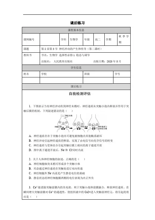 高二【生物学(人教版)】第2章 第3节 神经冲动的产生和传导(第二课时)-课后练习