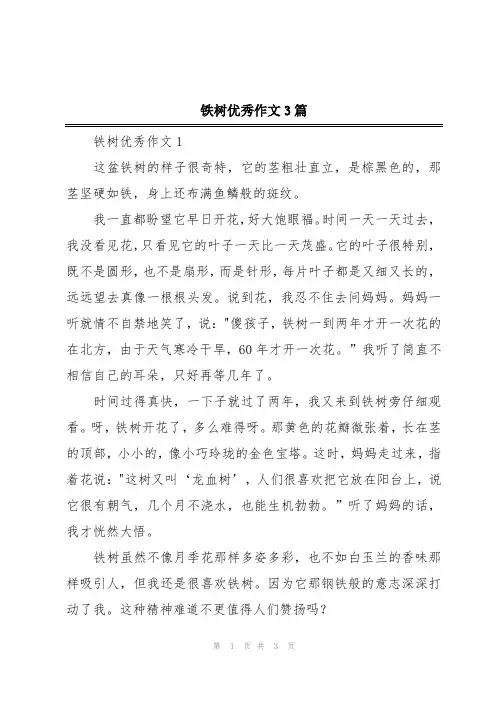 铁树优秀作文3篇