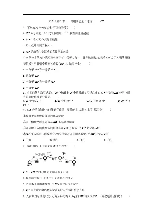 2019-2020学年高中生物人教版必修一课时练：第5章 第2节 细胞的能量“通货”——ATP Word版含答案
