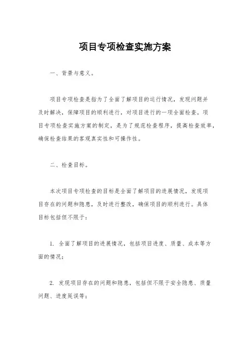 项目专项检查实施方案