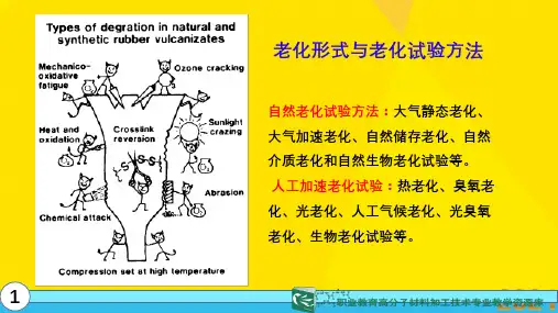 橡胶老化测定之一 抗耐热空气老化性能测定优秀文档