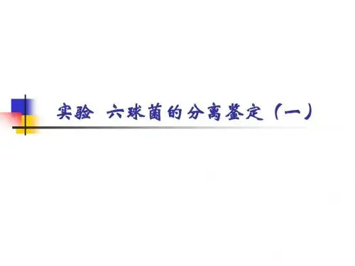 实验 六球菌的分离鉴定(一)