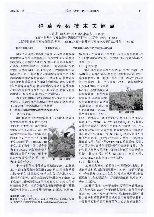 种草养猪技术关键点