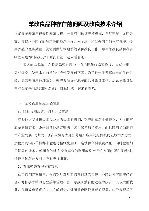 羊改良品种存在的问题及改良技术介绍