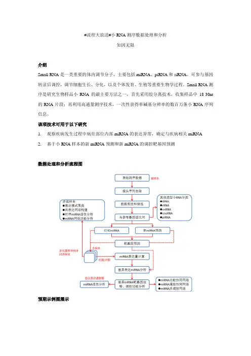 小RNA测序数据处理和分析流程