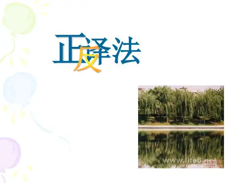 正反译法