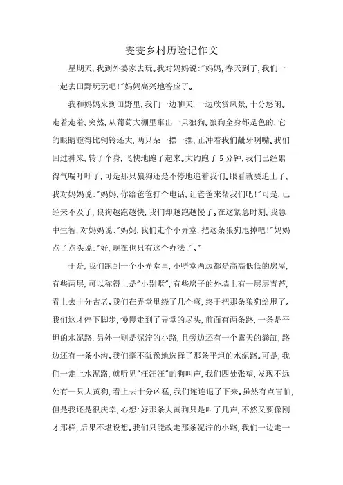 雯雯乡村历险记作文