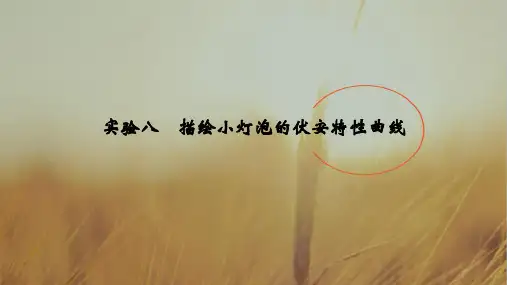 2019版高考物理创新大一轮基础课+能力课+实验课江苏专用版课件：第八章 恒定电流 实验八 精品