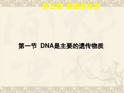高中生物必修二第三章《基因的本质》PPT 课件