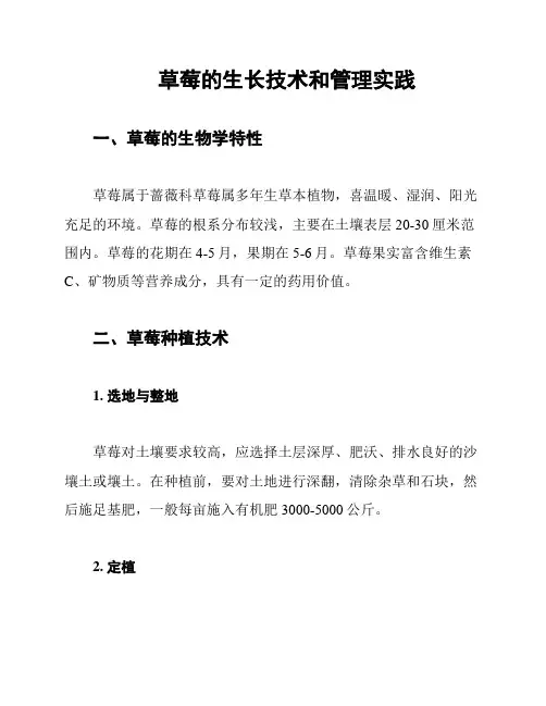 草莓的生长技术和管理实践