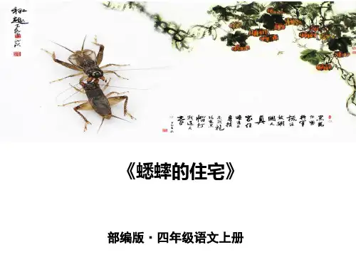 2019年部编版(统编版)四年级语文上册第11课《蟋蟀的住宅》PPT公开课教学课件