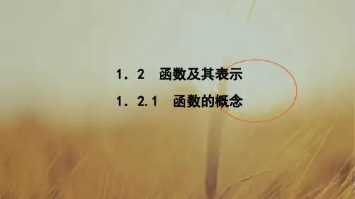2018学年高一数学人教A版必修一 课件 第一章 集合与函数概念 1.2.1 精品