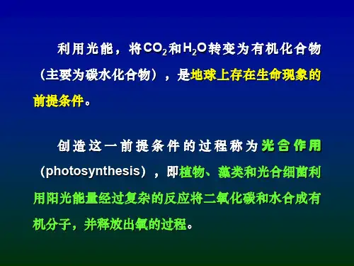 叶绿体与光合作用