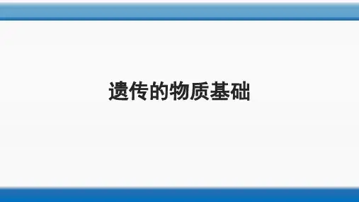 济南版八年级上册第四章 第一节 遗传的物质基础 课件(共29张PPT)