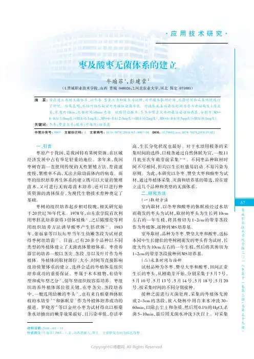 枣及酸枣无菌体系的建立