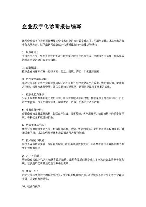 企业信息化诊断报告编写