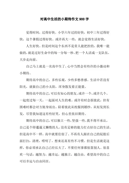 对高中生活的小期待作文900字