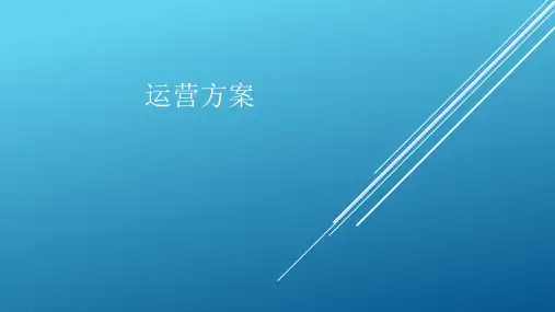 app运营方案ppt课件