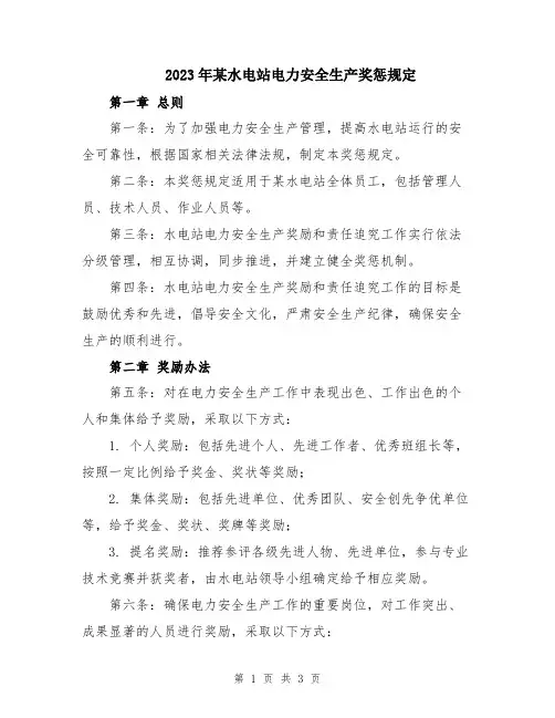 2023年某水电站电力安全生产奖惩规定