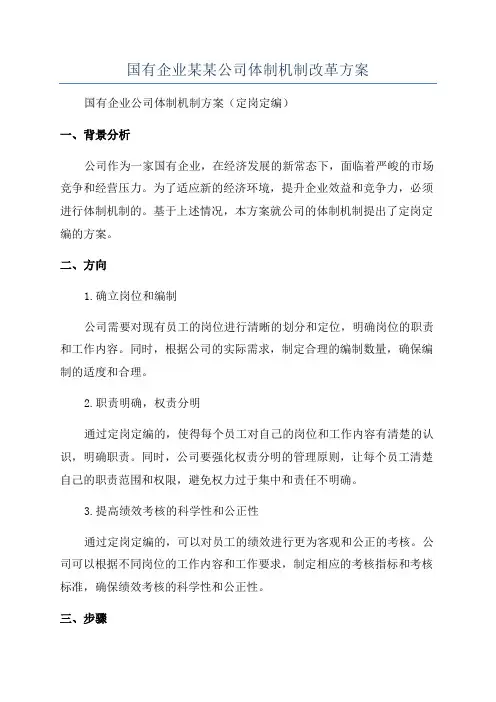 国有企业某某公司体制机制改革方案