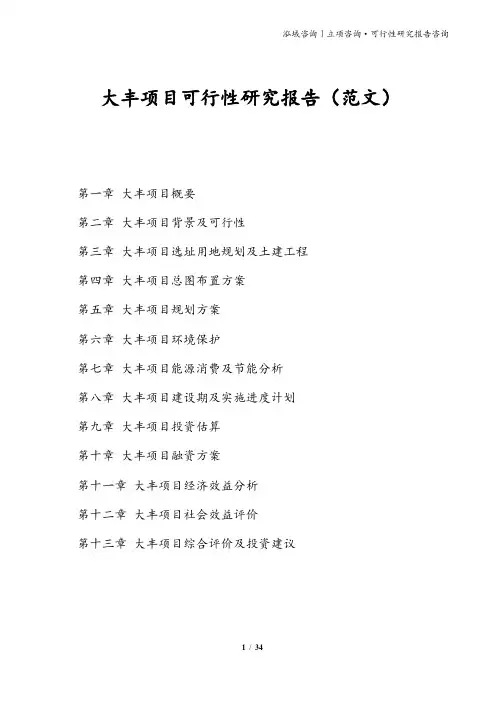大丰项目可行性研究报告(范文)