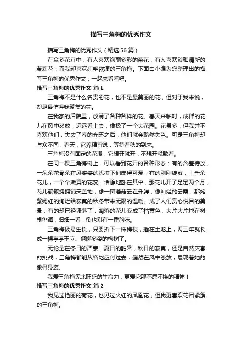 描写三角梅的优秀作文（精选56篇）