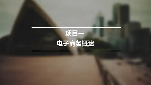 《旅游电子商务》教学课件电子商务概述(授课PPT)