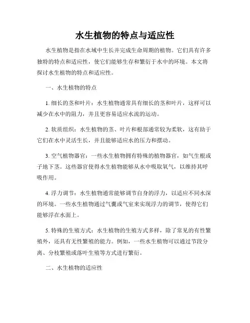 水生植物的特点与适应性