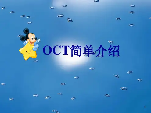 推荐 OCT简单介绍