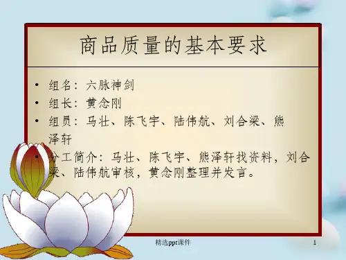 商品学案例小米分析ppt课件