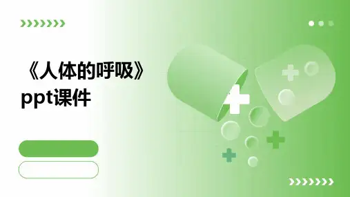 《人体的呼吸》课件