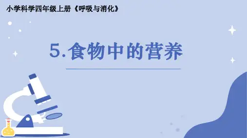 《食物中的营养》小学科学四年级上册PPT课件