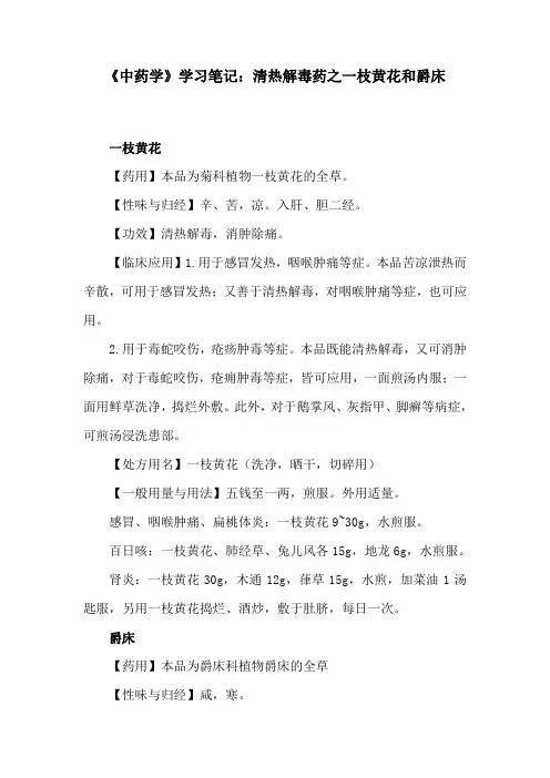 《中药学》学习笔记：清热解毒药之一枝黄花和爵床