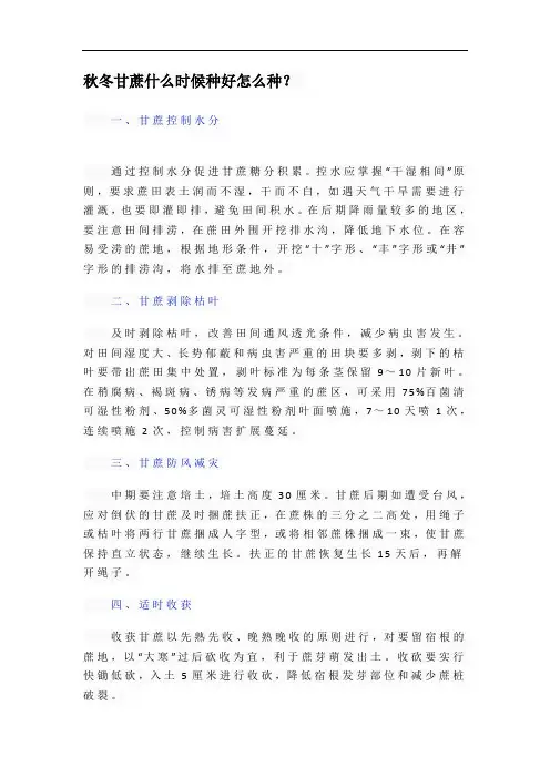 秋冬甘蔗什么时候种好怎么种