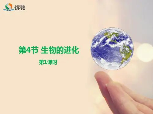 《生物的进化》第1课时优教课件