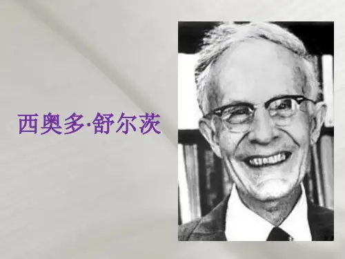 西奥多·舒尔茨