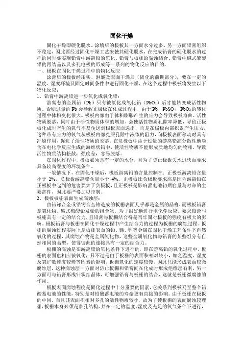 铅酸蓄电池固化干燥