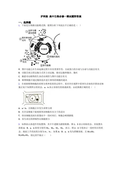 沪科版 高中生物必修一测试题附答案