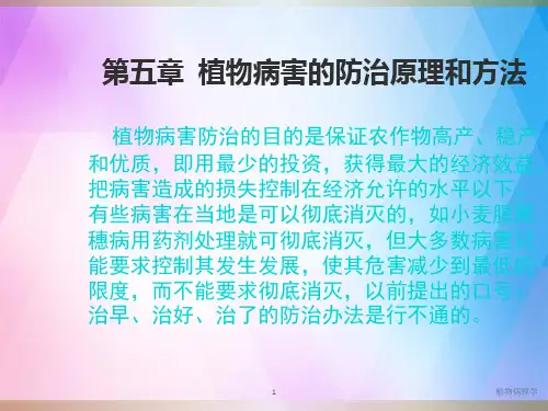 《植物病害防治》PPT课件