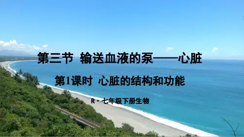 《心脏的结构和功能》PPT课件【精品】