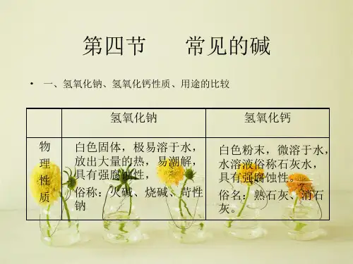 常见的碱PPT教学课件