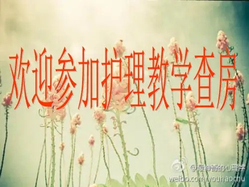 肾内科护理查房
