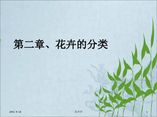 《花卉分类》PPT课件