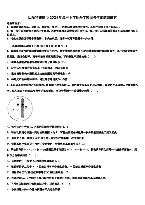 山东省潍坊市2024年高三下学期开学摸底考生物试题试卷含解析