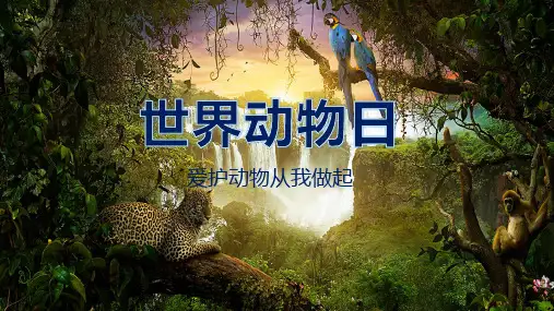 世界动物日珍稀动物中小学幼儿园通用PPT教学模板
