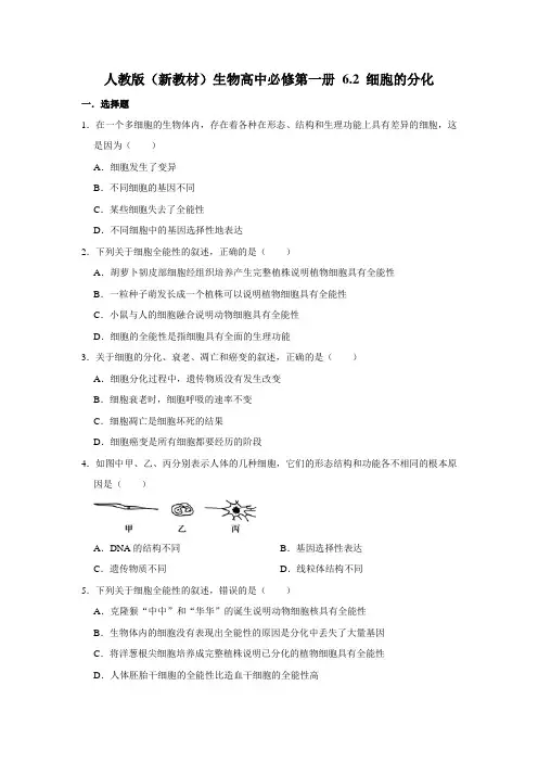人教版(2019)高中生物必修1《分子与细胞》 第6章 6.2 细胞的分化 同步练习 (2)