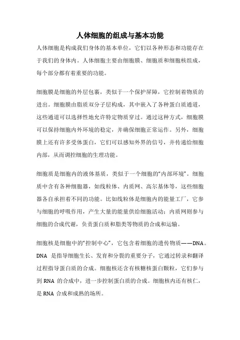 人体细胞的组成与基本功能