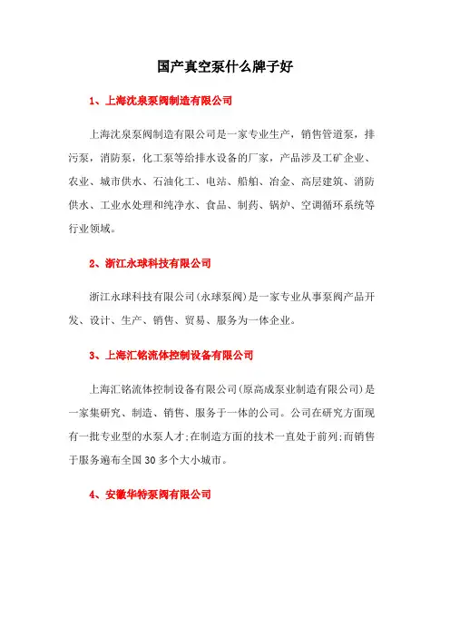 国产真空泵什么牌子好
