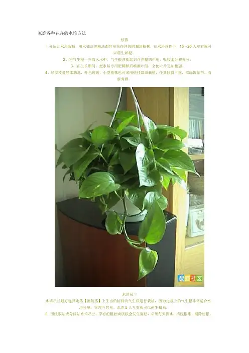 (整理)家庭各种花卉的水培方法
