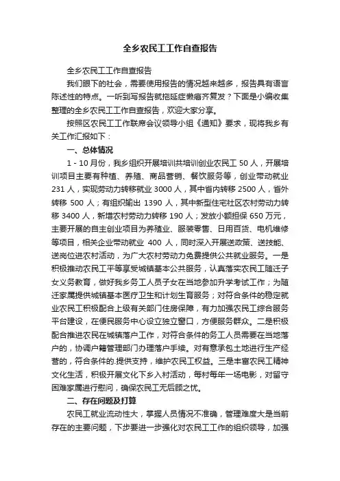 全乡农民工工作自查报告